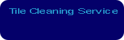 Tile Cleaning Service